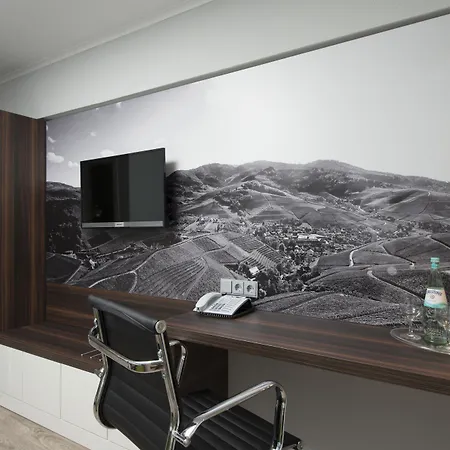 Hotel Ibis Styles 3*